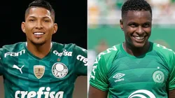 Palmeiras e Chapecoense se enfrentam neste domingo (Foto: Getty Images e Liamara Polli/AGIF)