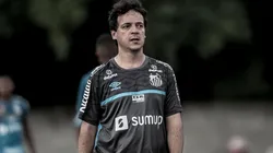 Foto: Ivan Storti/Santos FC
