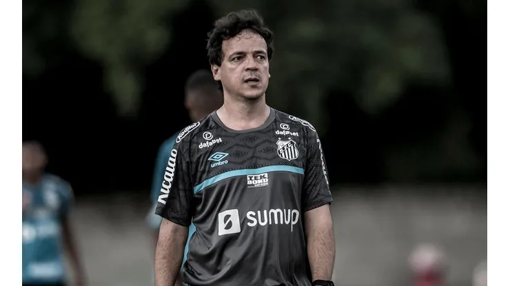Foto: Ivan Storti/Santos FC
