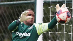 Foto: Cesar Greco/Palmeiras/Divulgação