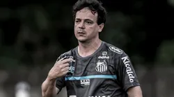 Foto: Ivan Storti/Santos FC