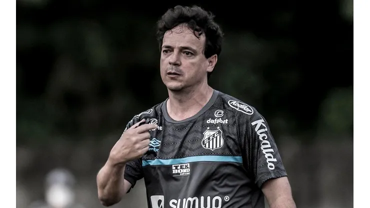 Foto: Ivan Storti/Santos FC