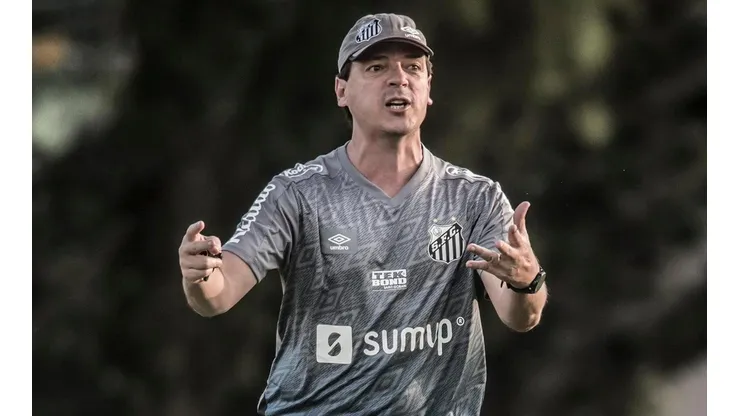 Foto: Ivan Storti/Santos FC