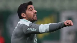 Foto: Cesar Greco/Palmeiras