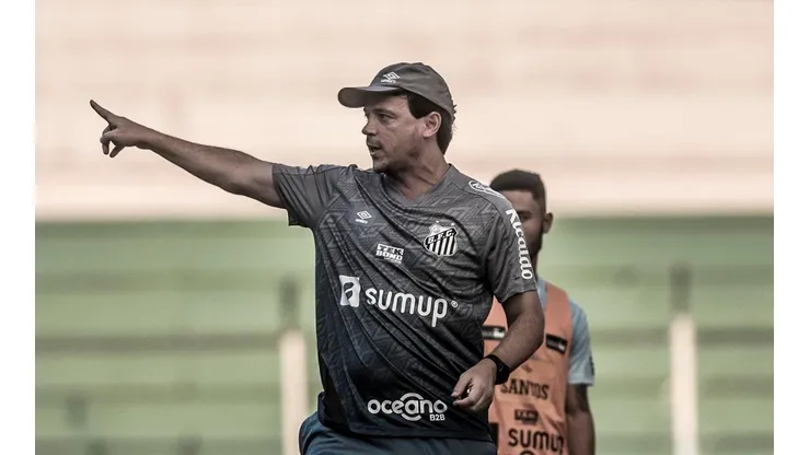 Foto: Ivan Storti/Santos FC