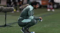 Foto: César Greco/ Palmeiras