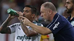 Foto: Divulgação/Flickr Oficial do Palmeiras