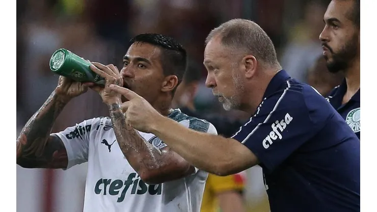 Foto: Divulgação/Flickr Oficial do Palmeiras