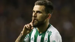 Foto: Flickr Oficia Sociedade Esportiva Palmeiras