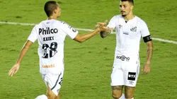 Futuro do Santos na Libertadores começa a ser definido hoje (20)