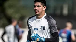 Foto: Ivan Storti/Santos FC