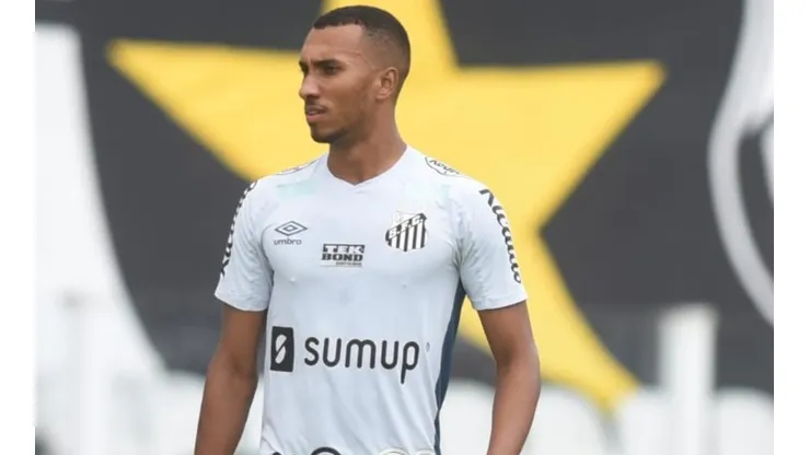 Foto: Ivan Storti/Santos FC/Divulgação