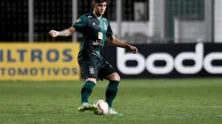 Mourão Panda / América