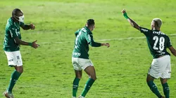 Palmeiras avança para a semifinal do Campeonato Paulista. (Foto: Diogo Reis/AGIF)