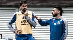 Foto: Ivan Storti/Santos FC