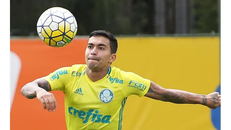 Foto: Flickr Oficial Sociedade Esportiva Palmeiras