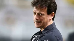 Fernando Diniz tem bom começo pelo Santos