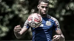 Foto: Flickr Oficial Santos Futebol Clube - autor: Ivan Storti