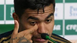 Flickr Oficial Sociedade Esportiva Palmeiras - autor: César Greco