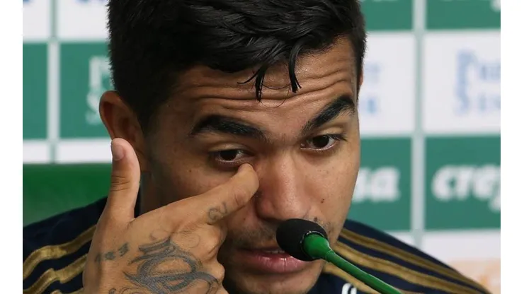 Flickr Oficial Sociedade Esportiva Palmeiras - autor: César Greco