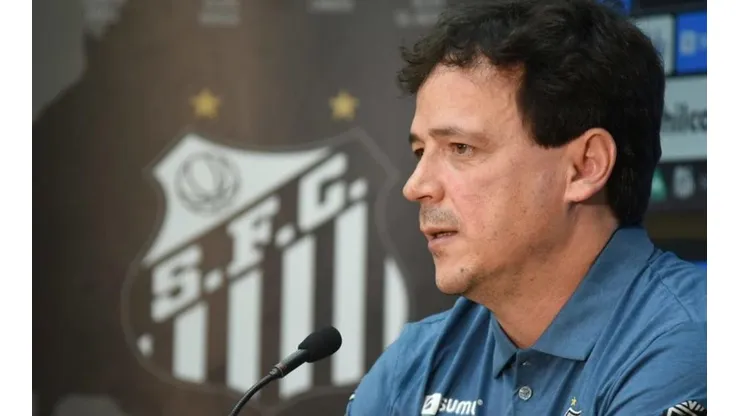 Foto: Ivan Storti/Santos FC