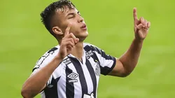 Foto: Pedro H. Tesch/AGIF