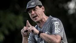 Foto: Ivan Storti/Santos FC