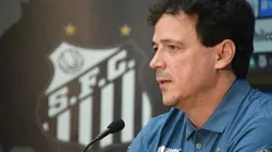 Diniz é o novo técnico do Santos