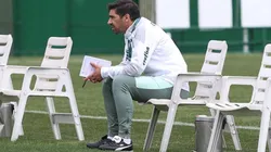 Foto: Flickr Oficial Sociedade Esporttiva Palmeiras - autor: César Greco