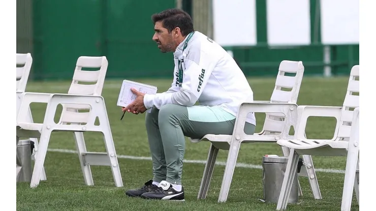 Foto: Flickr Oficial Sociedade Esporttiva Palmeiras - autor: César Greco
