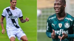 Ponte Preta x Palmeiras têm encontro marcado pelo Paulistão. Foto 1: R.Pierre/AGIF - Foto 2: Marcello Zambrana/AGIF