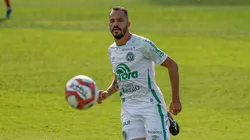 Dinho Zanotto/AGIF