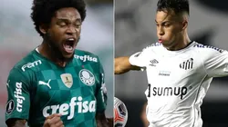 Palmeiras x Santos: saiba como assistir AO VIVO esse clássico do Campeonato Paulista. (Foto: Getty Images)
