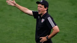 Fernando Diniz pode ser o novo técnico do Santos