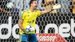 Foto: Pedro H. Tesch/AGIF