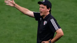 Fernando Diniz, ex-São Paulo, é prioridade do Santos