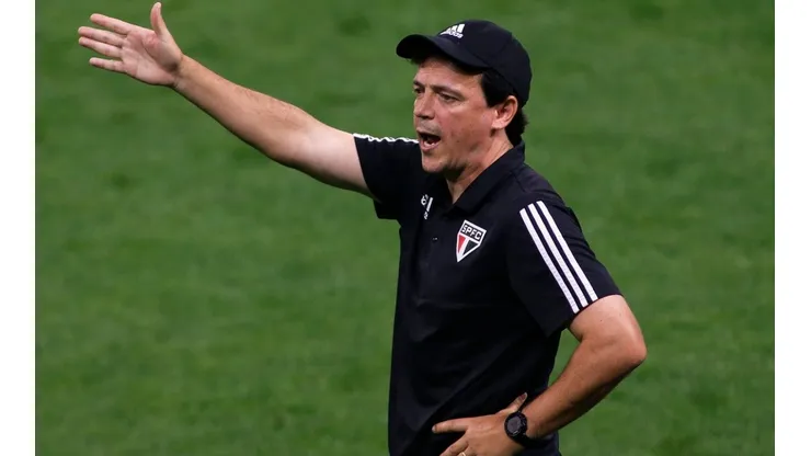 Fernando Diniz, ex-São Paulo, é prioridade do Santos