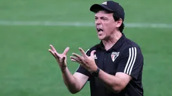 Treinador com passagem recente pelo São Paulo está no radar do Santos (Foto: Daniel Vorley/AGIF)