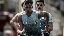 Foto: Ivan Storti/Santos FC