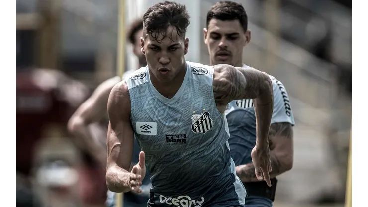 Foto: Ivan Storti/Santos FC