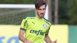 Foto: Flickr Oficia Sociedade Esportiva Palmeiras - autor: César Greco