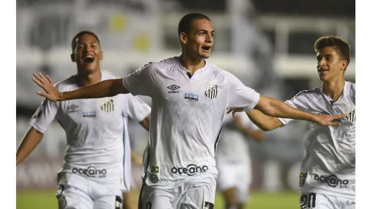 Foto: Ivan Storti/Santos FC