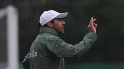 (Foto: Cesar Greco/Flickr Oficial Palmeiras/Divulgação)