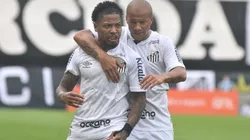 Foto: Flickr Oficial Santos Futebol Clube - autor Ivan Storti