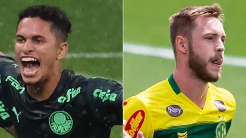 Palmeiras e Mirassol se enfrentam neste domingo (Foto: Agif)