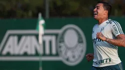 Foto Flickr Oficial Sociedade Esportiva Palmeiras