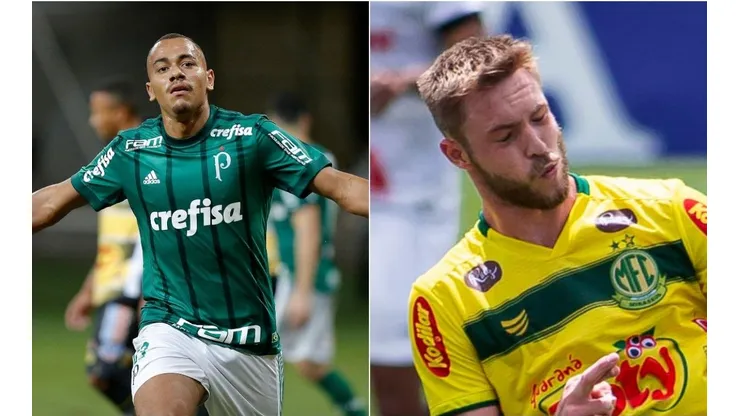 Palmeiras e Mirassol se enfrentam neste domingo (Foto: Agif)