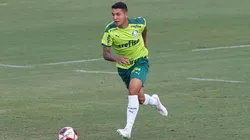 Foto: César Greco/Palmeiras