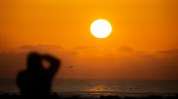 Dia da Terra: origem, significado e dicas em prol do meio ambiente