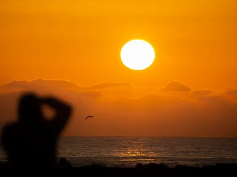 Dia da Terra: origem, o que representa e dicas de boas práticas em prol do meio ambiente